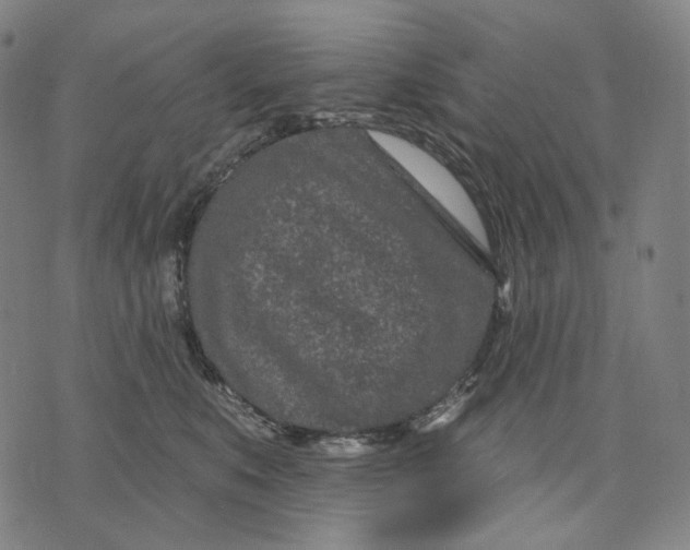 X0000071820519200607211740