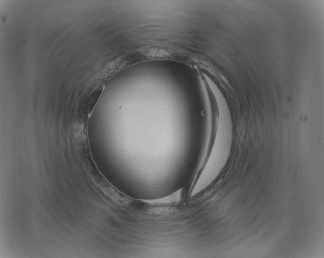 X0000071820521200607211740