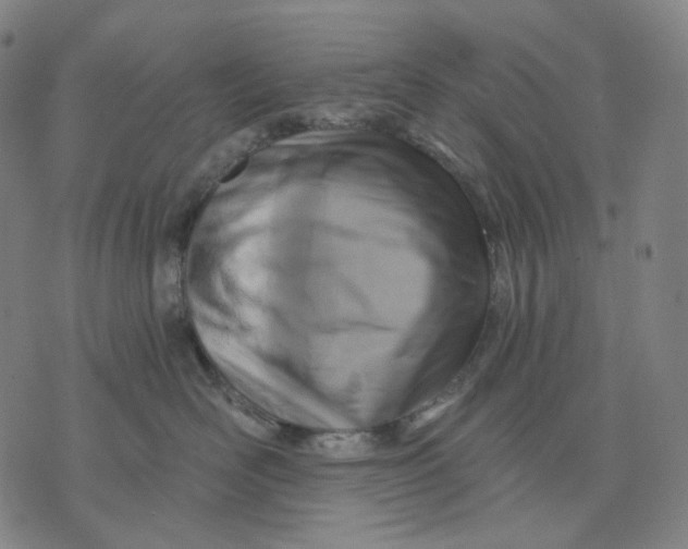 X0000071820526200607211740