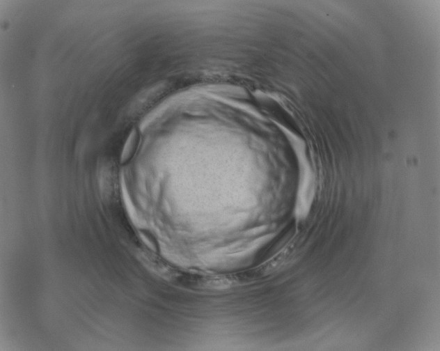 X0000071820527200607211740