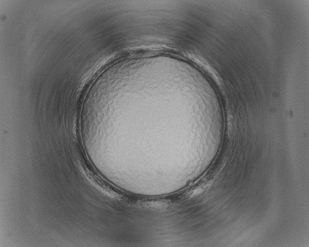 X0000071820533200607211739