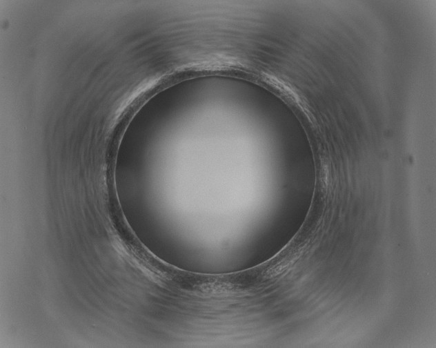 X0000071820535200607211739