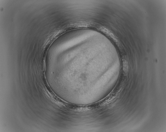 X0000071820537200607211739