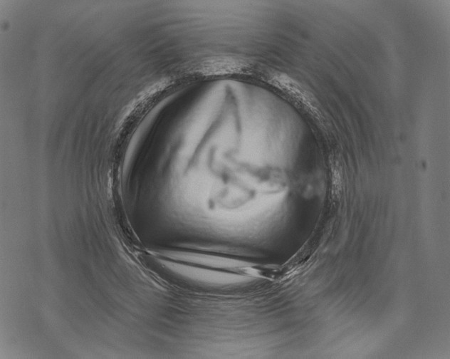 X0000071820539200607211739