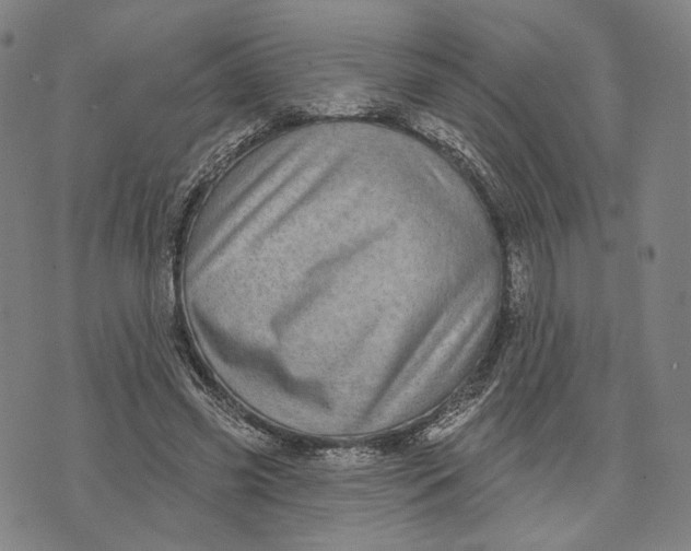 X0000071820541200607211739