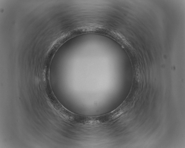 X0000071820543200607211739