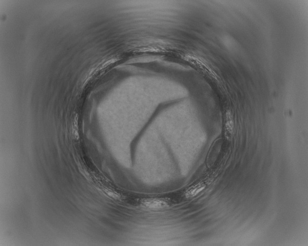 X0000071820547200607211739