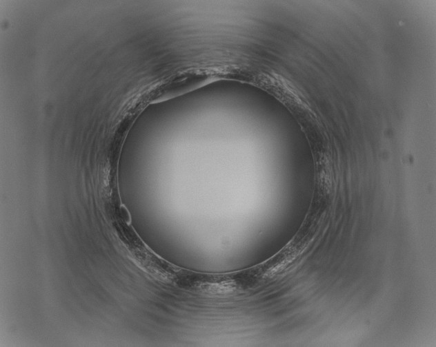 X0000071820548200607211739