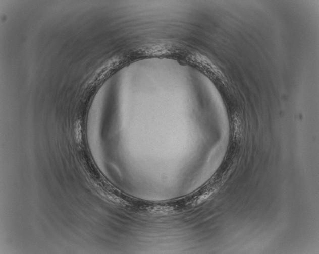 X0000071820549200607211739