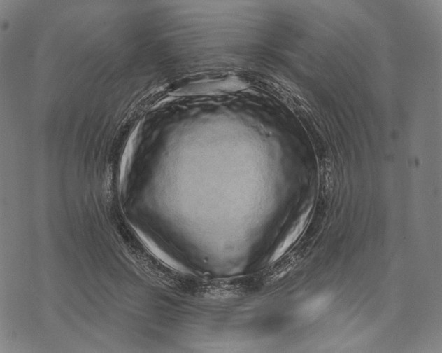 X0000071820550200607211739
