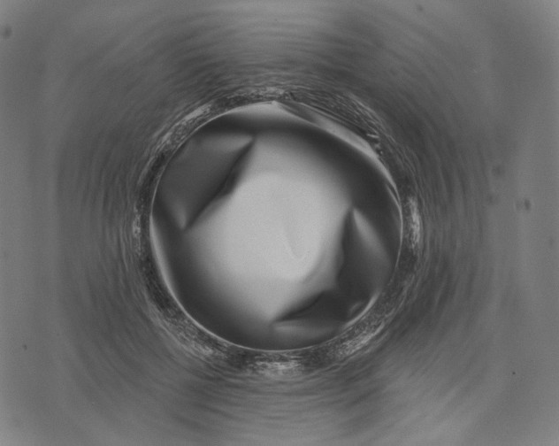 X0000071820552200607211739