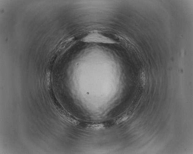 X0000071820554200607211739