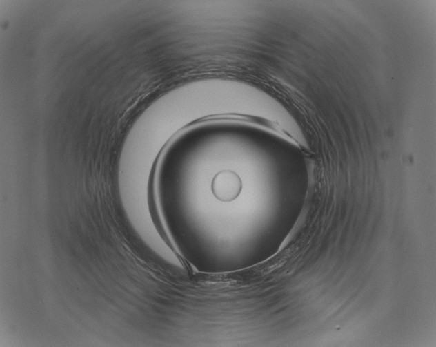 X0000071820556200607211739