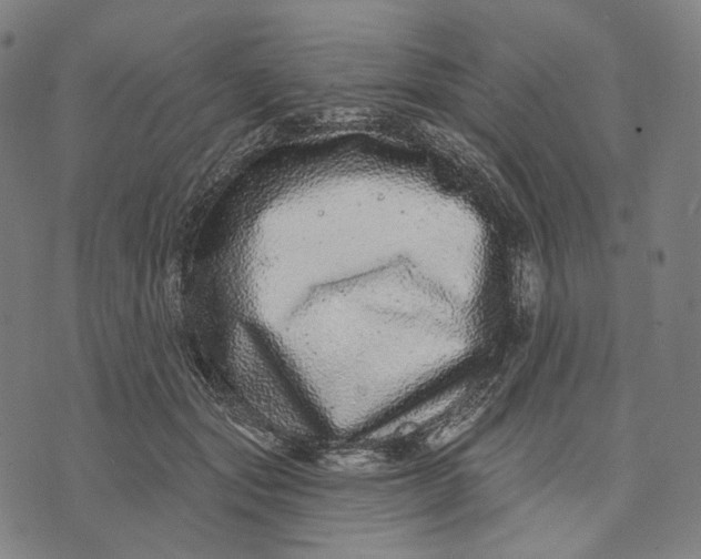 X0000071820557200607211739