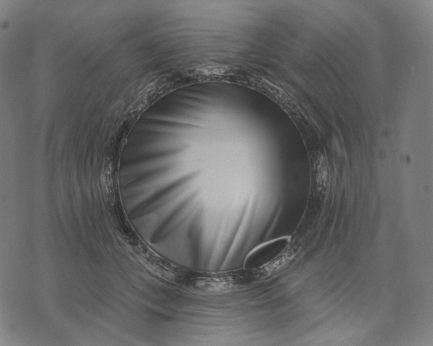 X0000071820559200607211739