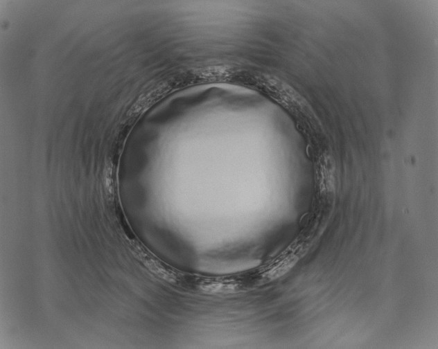 X0000071820561200607211739