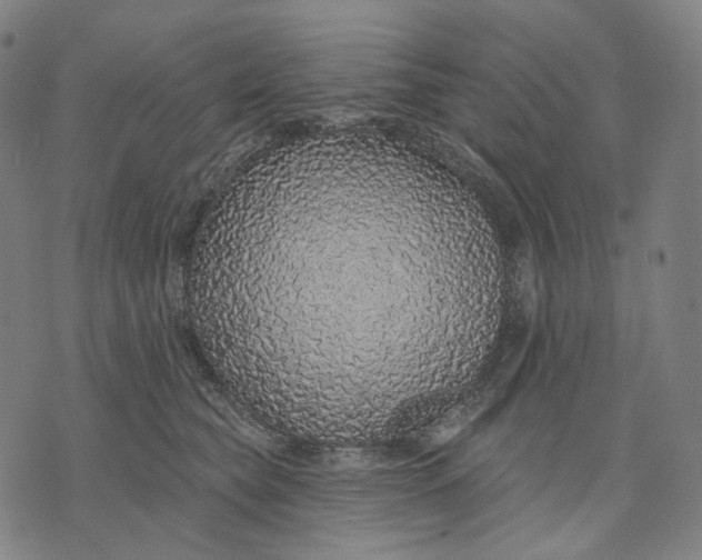 X0000071820565200607211740