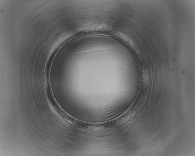 X0000071820582200607211739