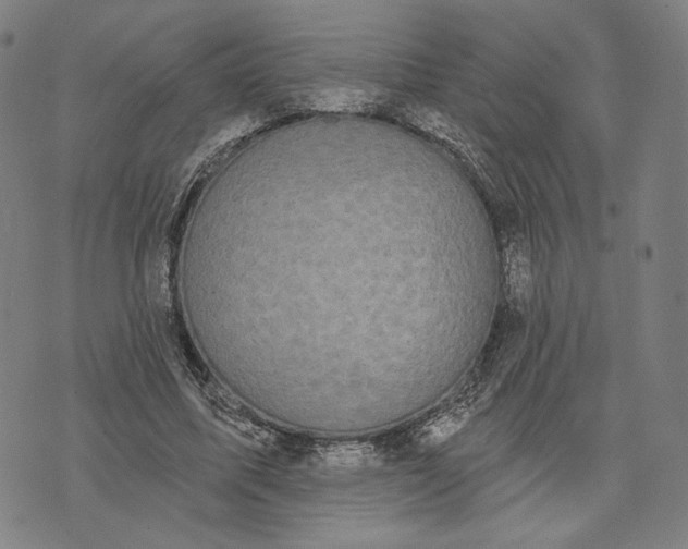 X0000071820587200607211739