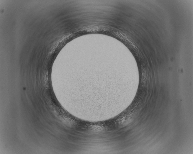 X0000071820592200607211739