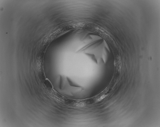 X0000071820604200607211739