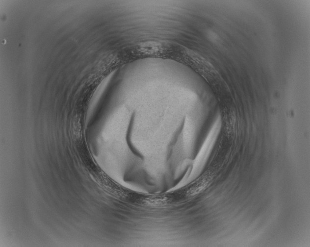 X0000071820606200607211738