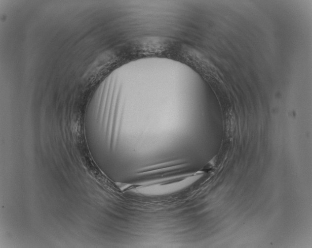 X0000071820608200607211738