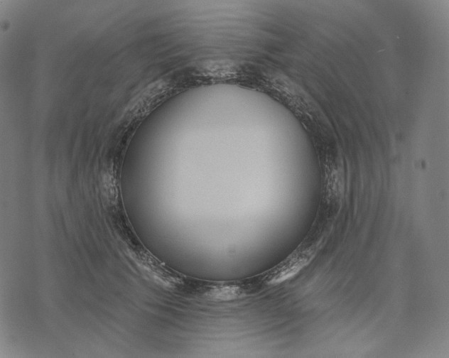 X0000071820609200607211738