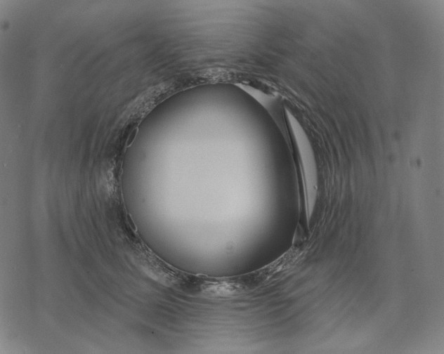 X0000071820611200607211738