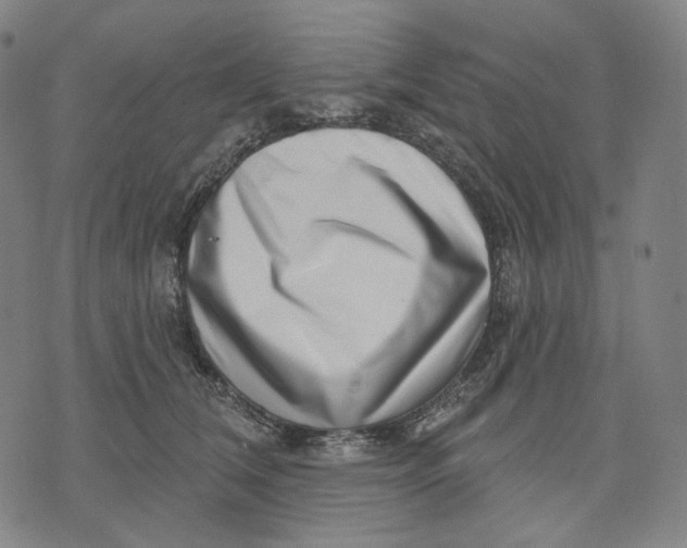 X0000071820612200607211738