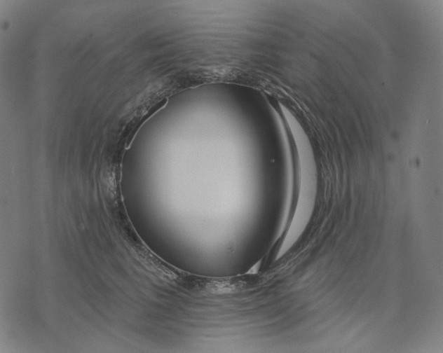X0000071820613200607211738