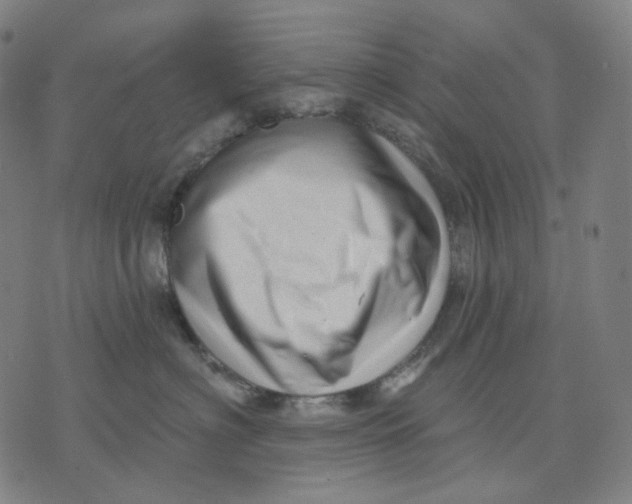 X0000071820622200607211738
