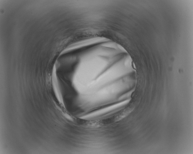 X0000071820624200607211738