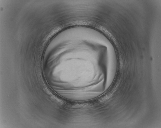 X0000071820625200607211737