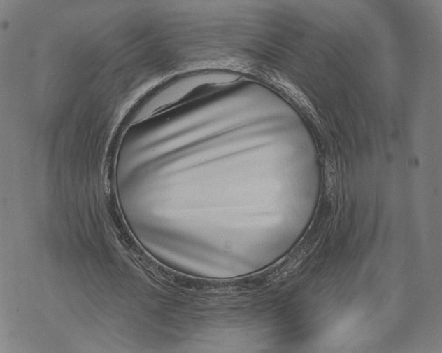 X0000071820628200607211737