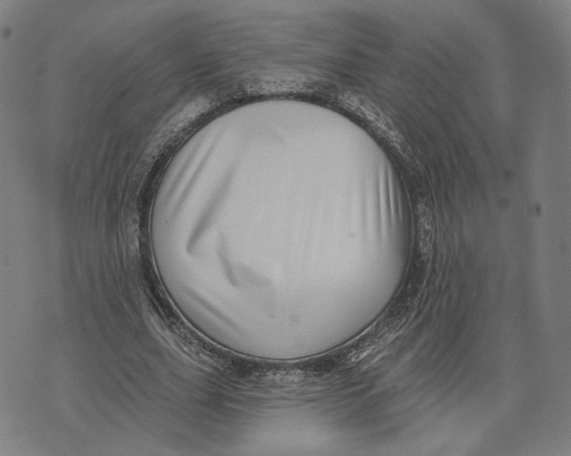 X0000071820631200607211738