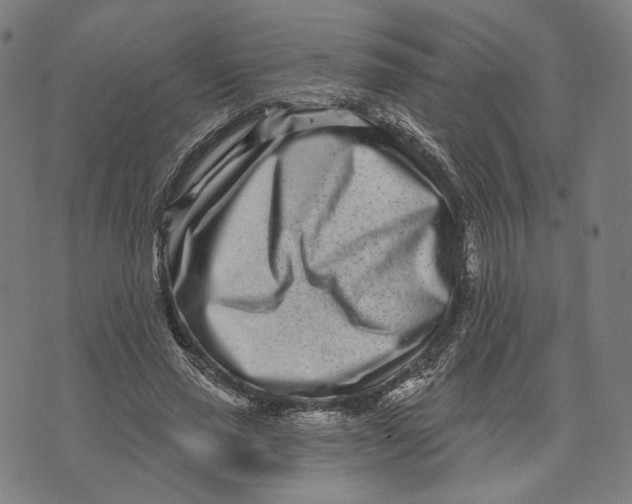 X0000071820637200607211738