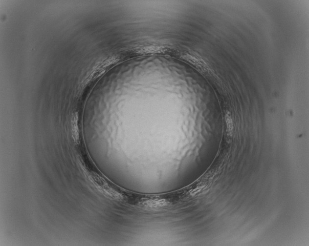 X0000071820642200607211738