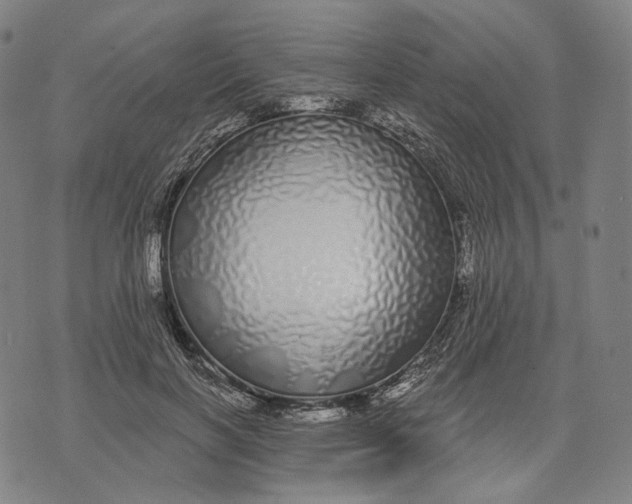 X0000071820646200607211738