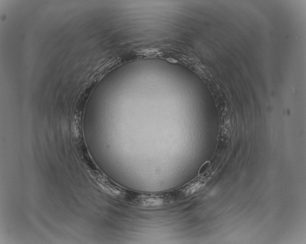 X0000071820658200607211738