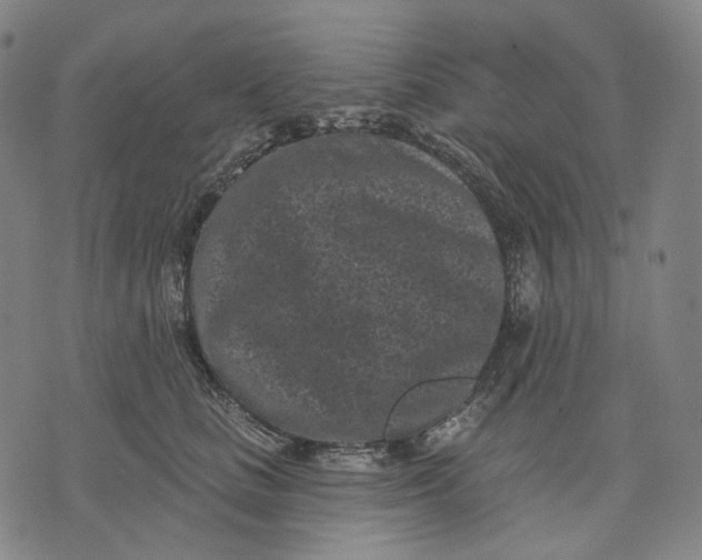 X0000071820661200607211738