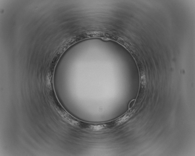 X0000071820662200607211738