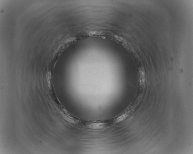 X0000071820664200607211738