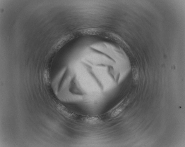 X0000071820669200607211738