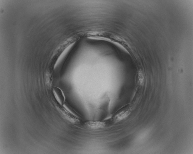 X0000071820670200607211738