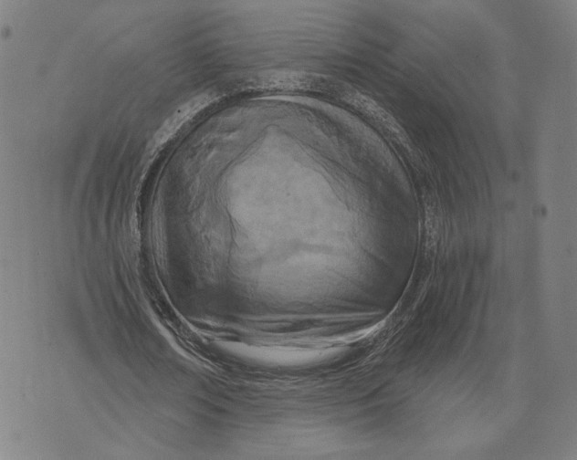 X0000071820674200607211737