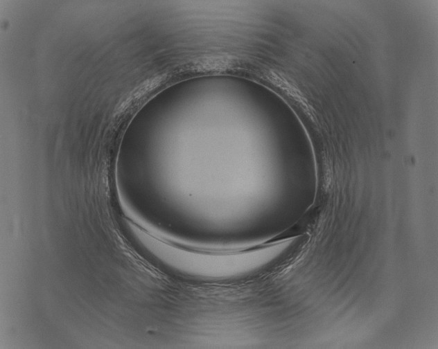X0000071820681200607211737