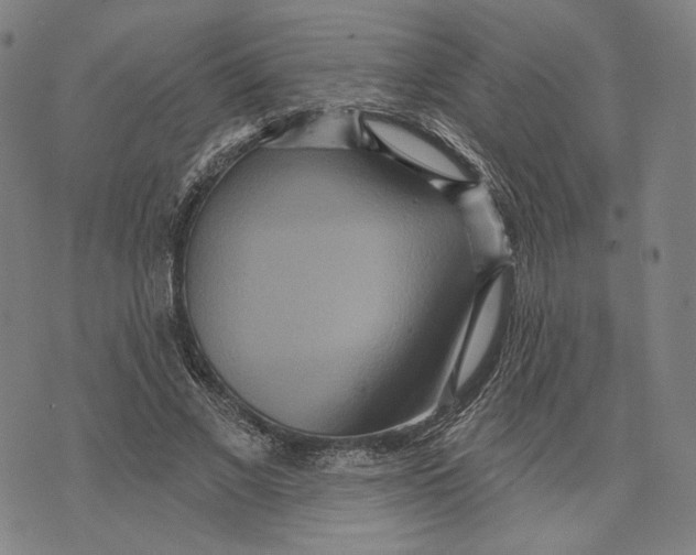 X0000071820685200607211737