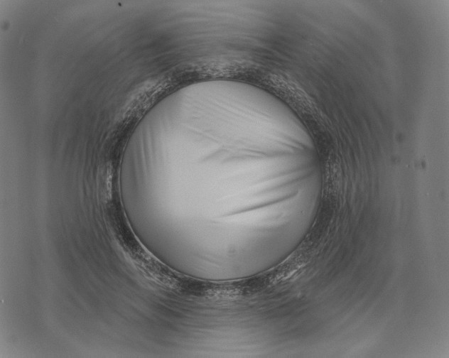 X0000071820694200607211737