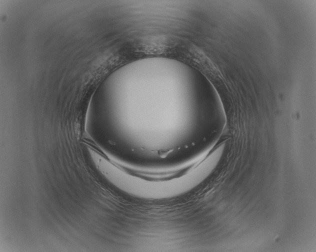 X0000071820697200607211737